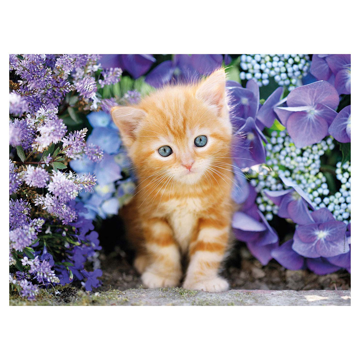 Clementoni puzzle cat with flowers, 500st.