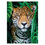 Clemenstoni Puzzle Jaguar am Dschungel, 500st.