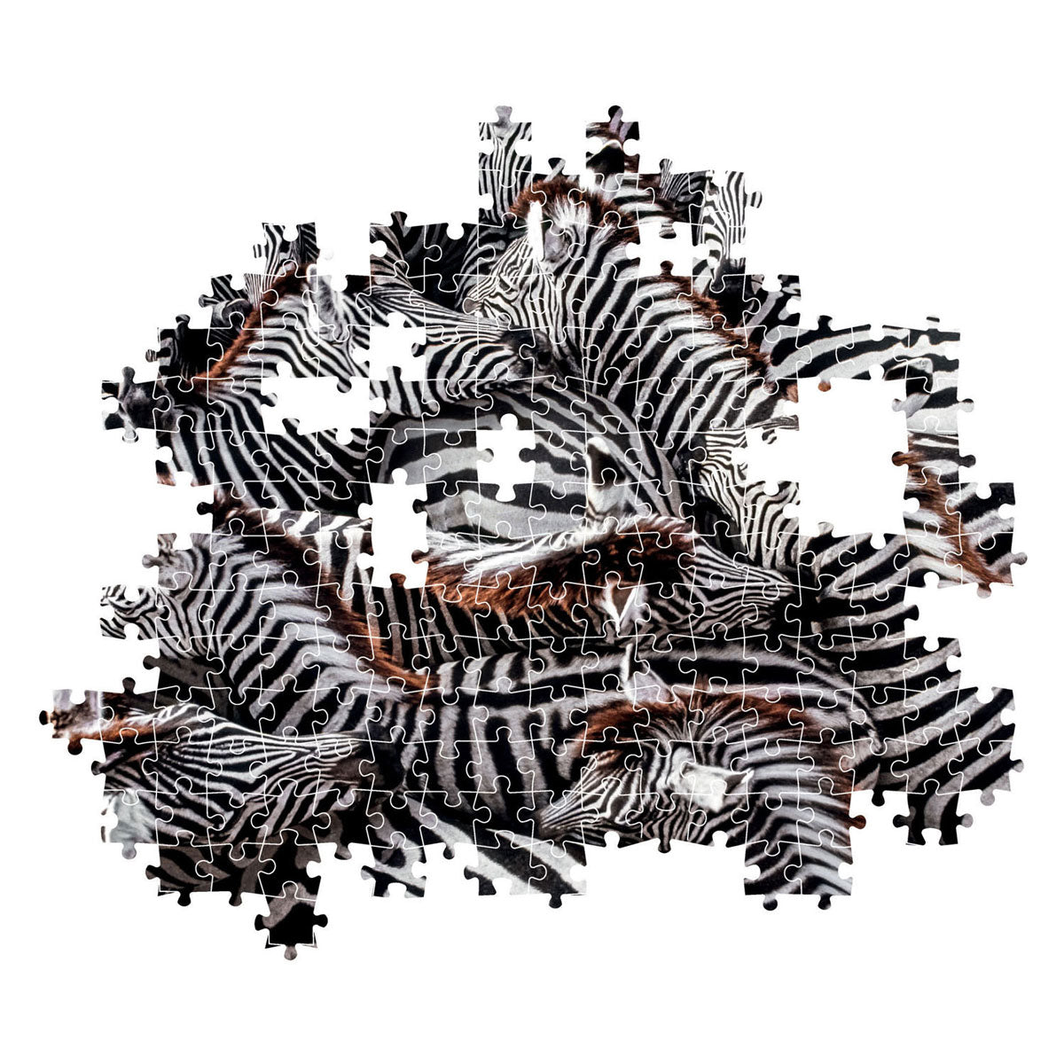 Clementoni Jigsaw Puzzle National Geographics - Zebra, 1000st.