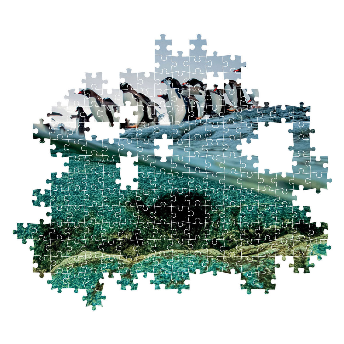 Clementoni Jigsaw Puzzle National Geographics - Penguin, 1000st.