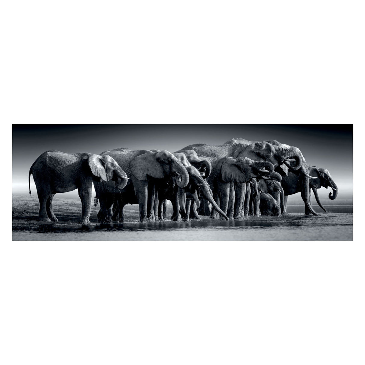 Clementoni legpuzzel panorama herd of giants, 1000st.