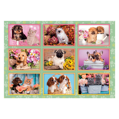 Clementoni legpuzzel super color puppies collage, 180st.