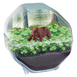 Clementoni wetenschap spel my wild terrarium - beer