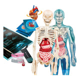 Clementoni wetenschap en spel - super anatomie