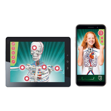 Clementoni wetenschap en spel - super anatomie