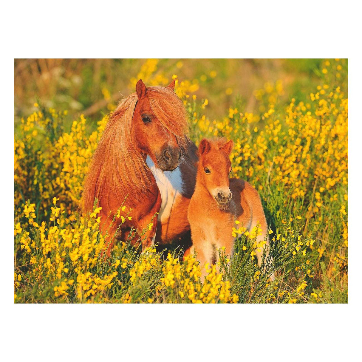 Ravensburger Shetland Ponies, 100 .. Xxl