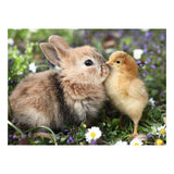Ravensburger – rabbit and chick – legpuzzel – 500 stukjes