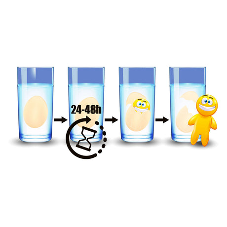 Toi-toys toi toys broed je eigen smiley speeltje in ei