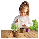 Kidscovery Kidscovery Experiment Kruidentuin Set S