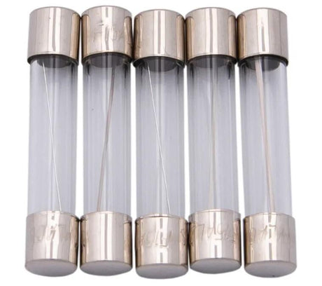 Dresselhaus glazen zekering glass fuses 6.3x30 15a f. japanese vehicles.