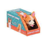 Raztegnjeni pasji corgi