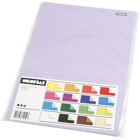 Creotime http: www.cchobby.nl color-bar-karton-a4-vel-210x297-mm-250-gr-16-div-vellen-1-doos-25420