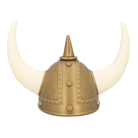 Boland helm viking erik