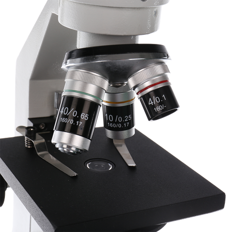 Byomic Studie Microscoop BYO-30