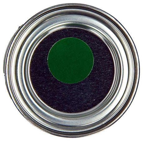Motip 1051851 - bl. loofgroen ral 6002 hg kwastblik 100 cc | 1 stuks
