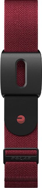 Polar verity sense armband donker rood s-l s l