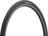 Specialized mondo tlc endurance tlr 28 tire