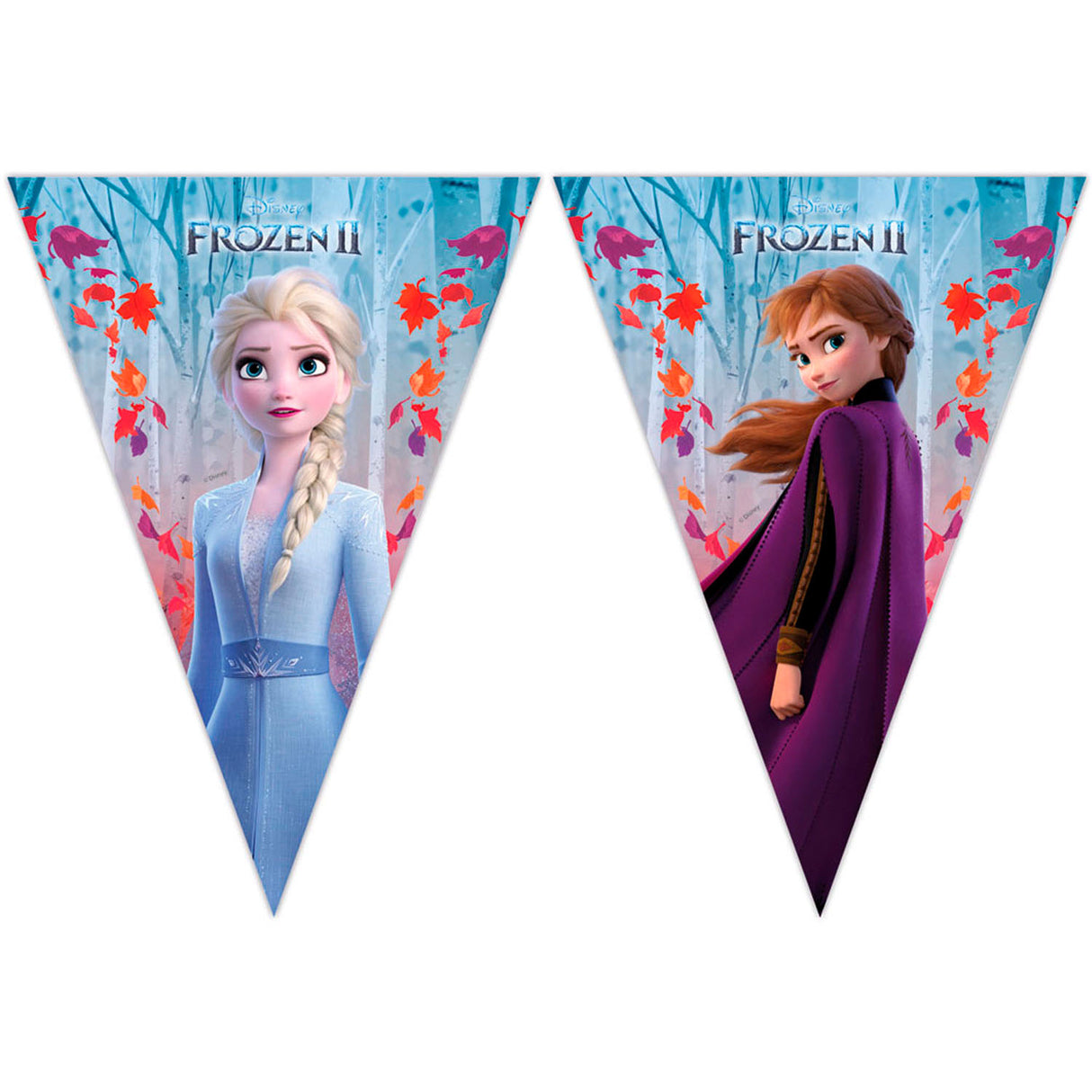 Disney Frozen 2 Flag Line, 2mtr.