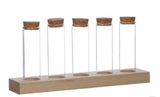 Ideas 4 seasons houten houder met 5 reageerbuizen met kurk stopper ã˜3x10cm
