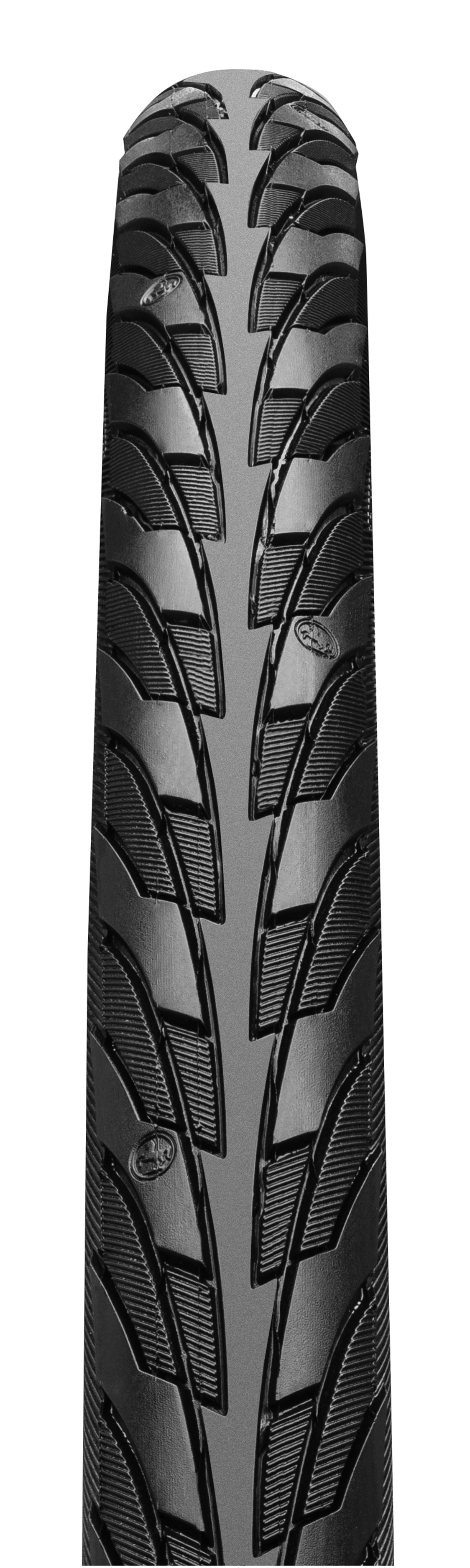 Continental contact outer tire - City bike - Black