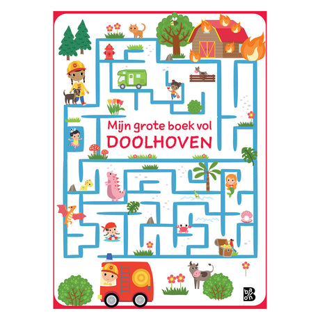 Standaard uitgeverij mijn grote boek vol doolhoven