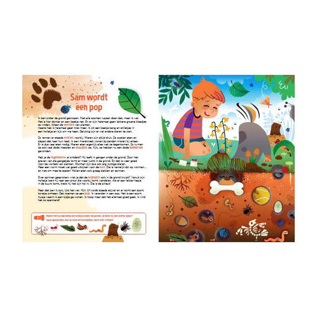 Lantaarn publishers speuren naar insecten zoekboek met kartonnen zaklamp