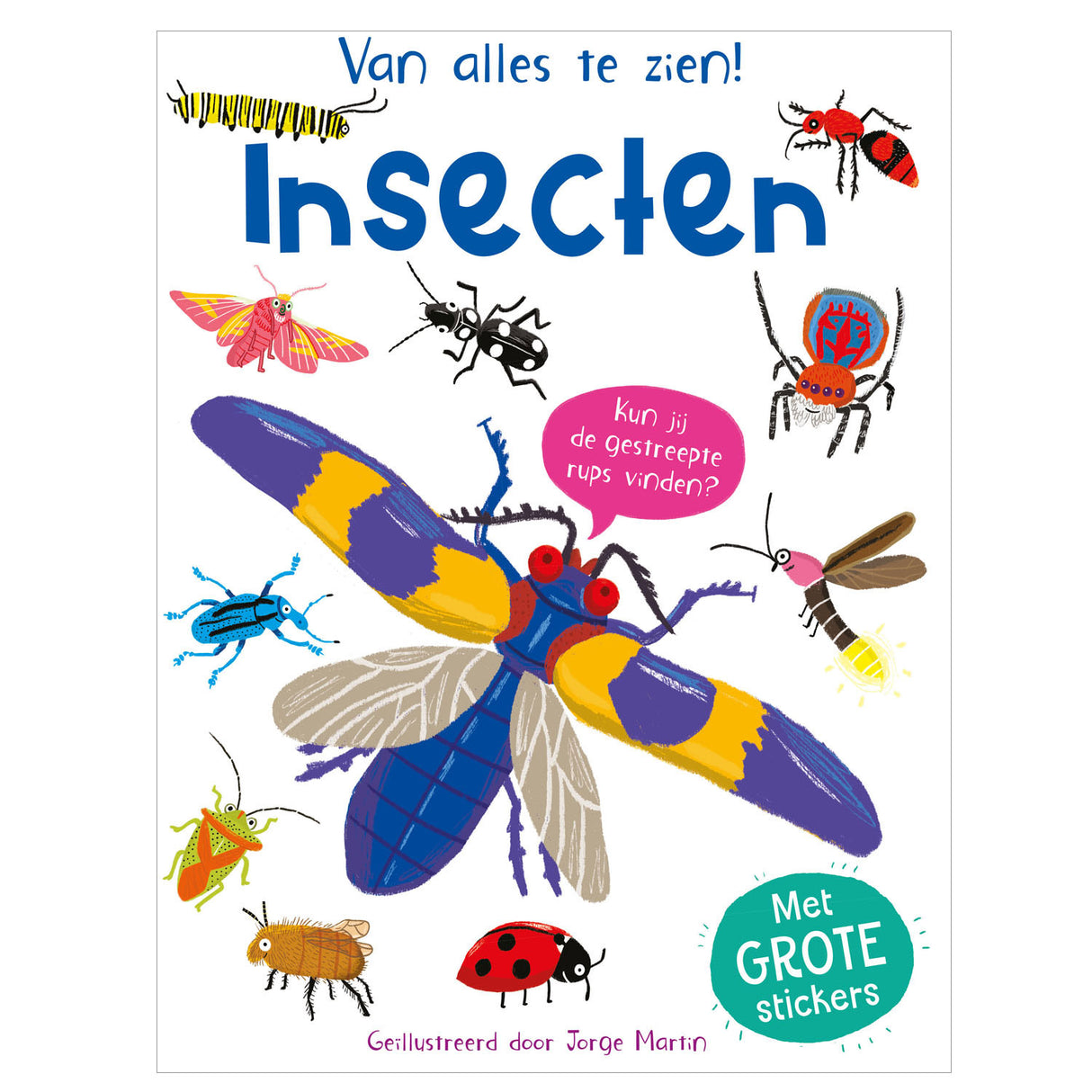 Rebo Publishers Insects - everything to be seen!