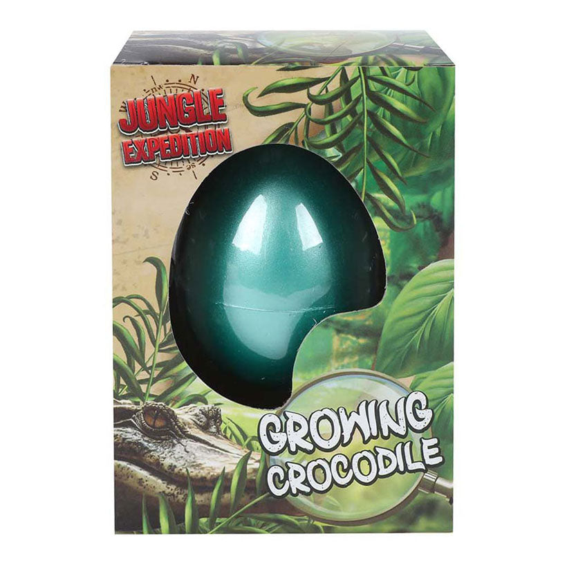 Jungle Expediton Egg avec crocodile en croissance, 6 cm