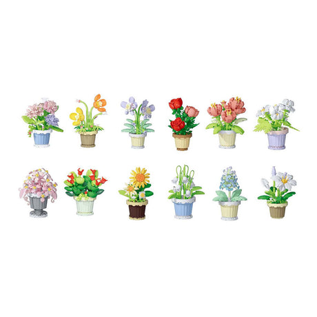 Bouwstenen planten in pot assorti in display