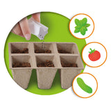 Ses creative - explore - broeikas met groenten - kweek je eigen tomaat, basilicum en komkommer - echt houten broeikas – experimenteerdozen – mini moestuin voor kinderen