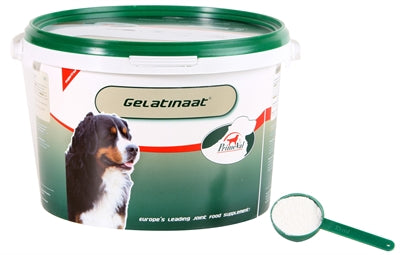 Primeval gelatinate dog