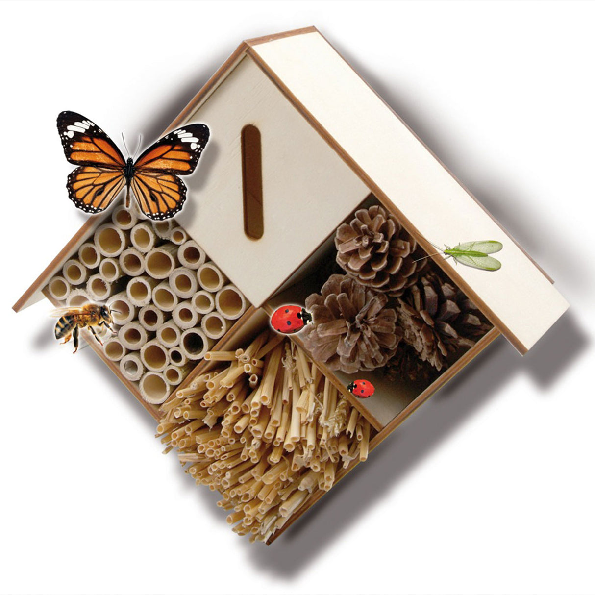 SES Insects Hotel Crafts