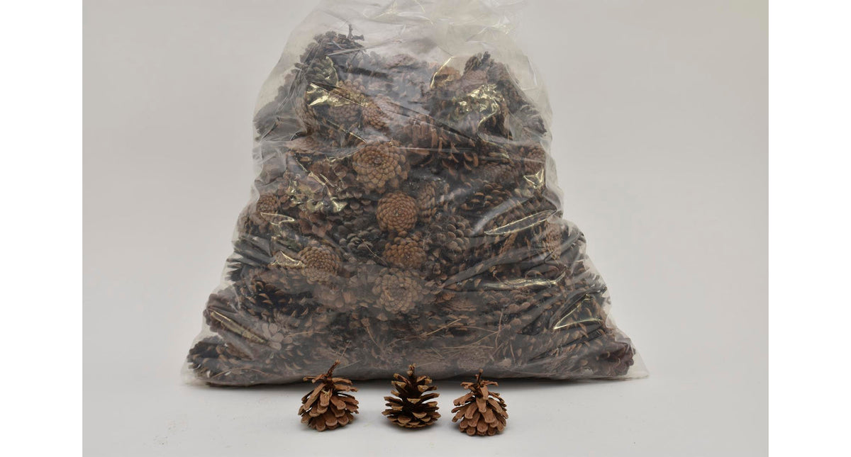 Pinus nigra 5-8 cm natural box 5 kg