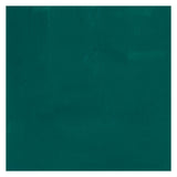 Bruynzeel ecola plakkaatverf fles 16ml donkergroen 602