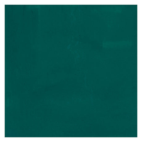 Bruynzeel ecola plakkaatverf fles 16ml donkergroen 602