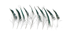Peacock feather 25-30cm 10pc natural