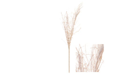 Stem false goatsbeard w glitter 10x10x58cm ivory