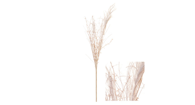Stem false goatsbeard w glitter 10x10x58cm ivory