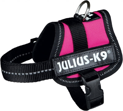 Julius K9 Power-Harnas Tuig para etiquetas Fuchsia