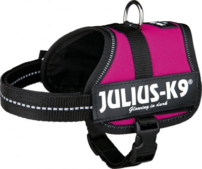 Julius K9 Power-Harnas Tuig til etiketter Fuchsia