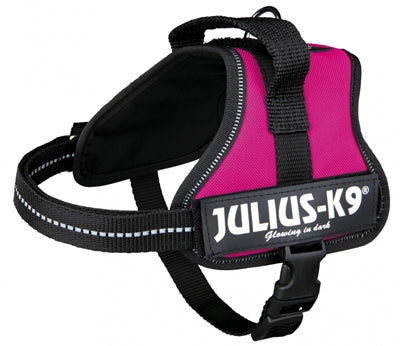 Julius k9 power-harnas tuig voor labels fuchsia