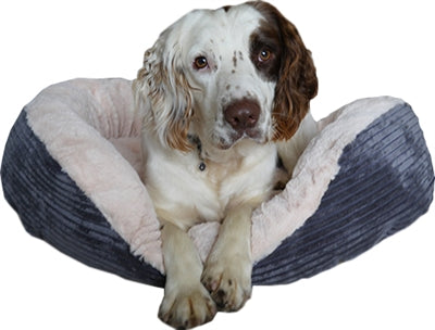 Rosewood Dog Basket Oval Jumbo ledning Plysj grå krem