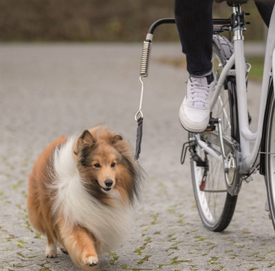 Staffa per biciclette Biket Trixie Springer