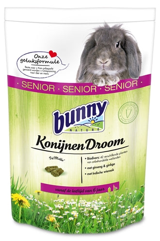 Bunny Nature Rabbit Dream Senior