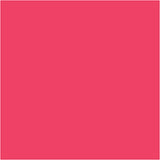 Bic http: www.cchobby.nl -visa-color-kleurstiften-lijndikte-3-mm-roze-12-stuk-1-doos