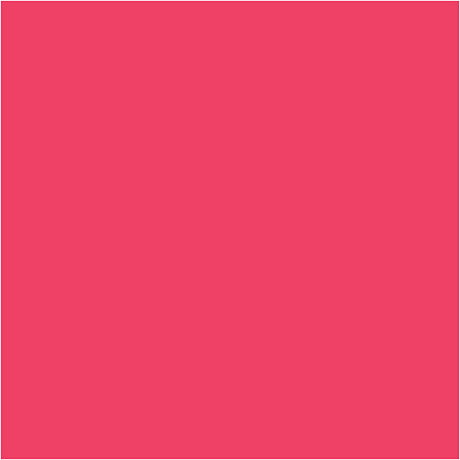 Bic http: www.cchobby.nl -visa-color-kleurstiften-lijndikte-3-mm-roze-12-stuk-1-doos