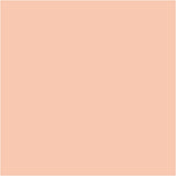 Bic http: www.cchobby.nl -visa-color-kleurstiften-lijndikte-3-mm-licht-beige-12-stuk-1-doos