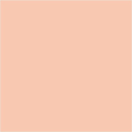 Bic http: www.cchobby.nl -visa-color-kleurstiften-lijndikte-3-mm-licht-beige-12-stuk-1-doos