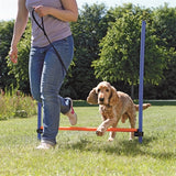 Trixie Dog Activity Agility Horde Blue Orange