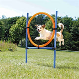 Trixie Pies Activity Agility Pierścień Blue Orange